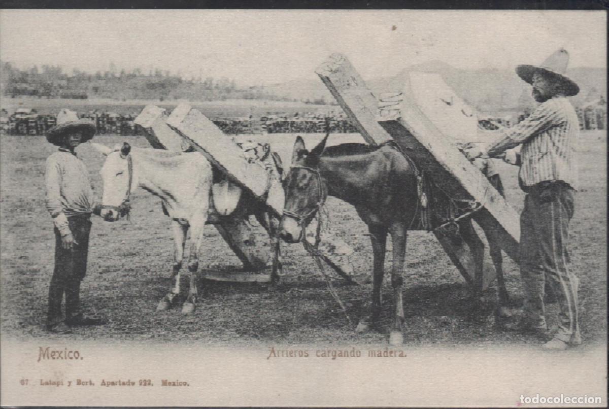 Postales: M&eacute;xico/M&eacute;jico Arrieros cargando madera.Nueva.Pluscuamperfecta