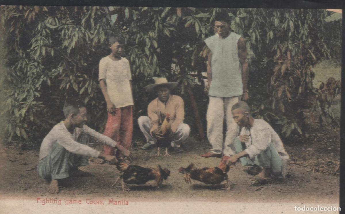 Postales: Filipinas,Manila. Pelea de gallos.Preciosa edici&oacute;n