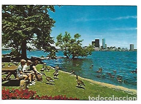 Postales: TORONTO, ONTARIO / CANADA