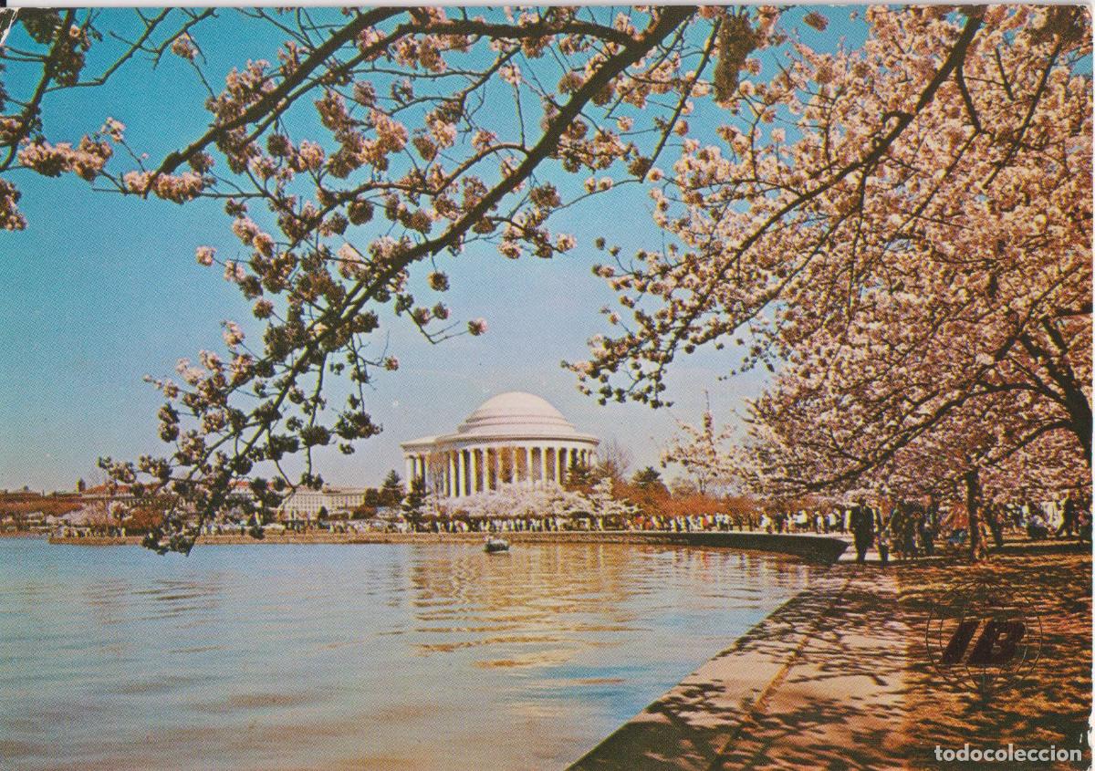 Postales: E.U.A. WASHINGTON, MONUMENTO A JEDDERSON - EDITA IBERIA - ESCRITA