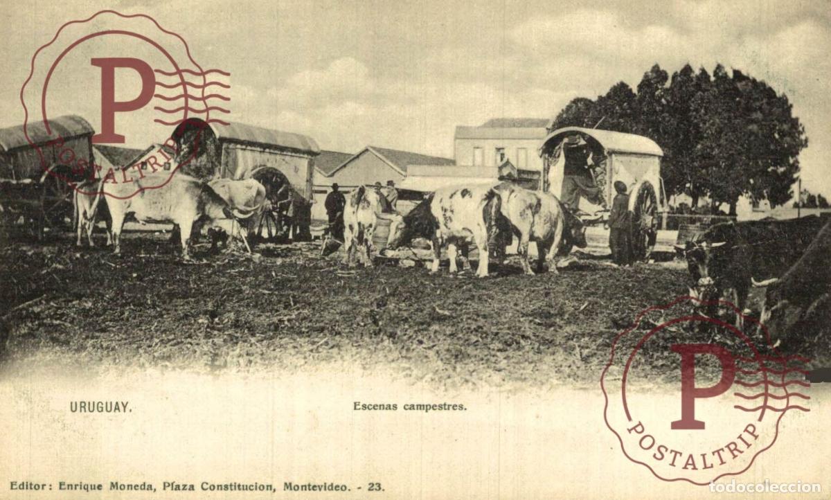 Postales: URUGUAY, ESCENAS CAMPESTRES. ENRIQUE MONEDA