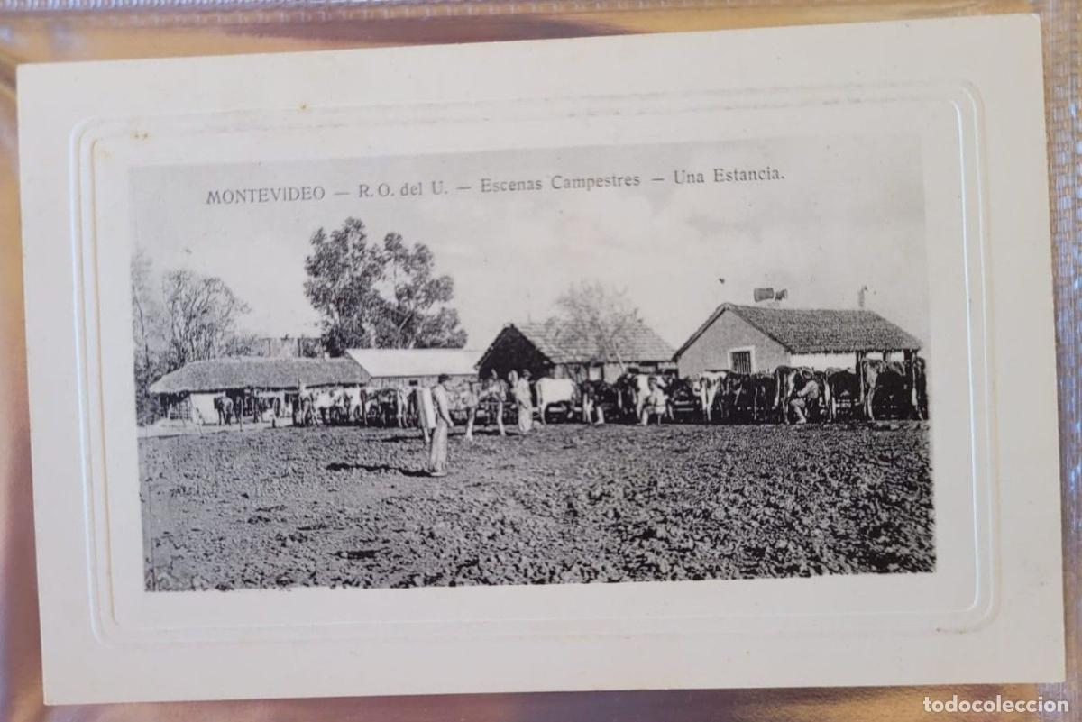 Postales: URUGUAY MONTEVIDEO ESCENAS CAMPESTRES. UNA ESTANCIA