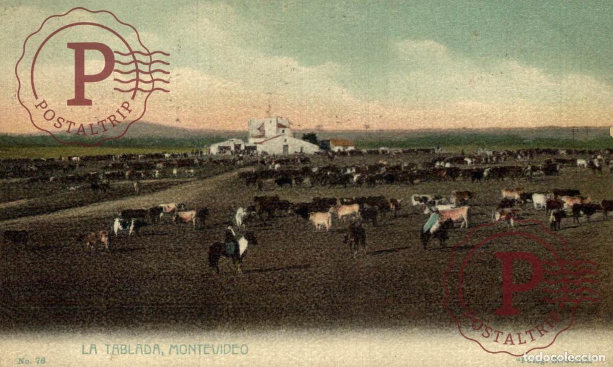 Postales: URUGUAY MONTEVIDEO LA TABLADA