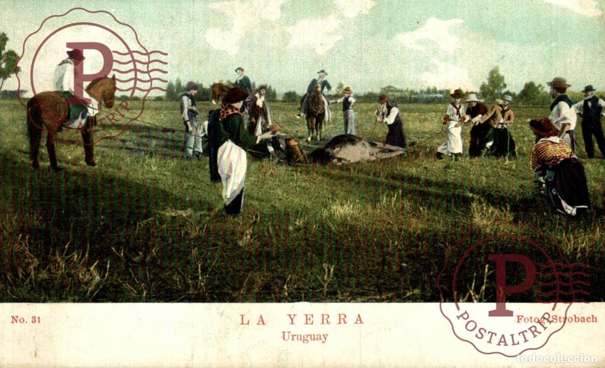 Postales: Uruguay La Yerra Marcado Ganado Gauchos Rural Fotog. Strobach 31