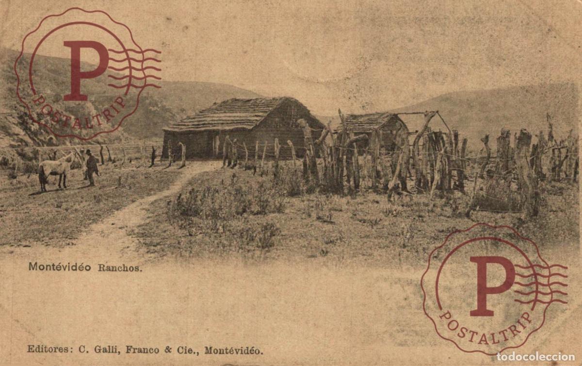 Postales: URUGUAY. MONTEVIDEO. RANCHOS