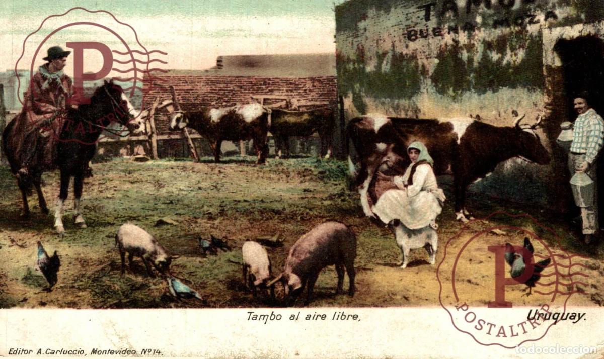 Cartes Postales: URUGUAY - Tambo al aire libre