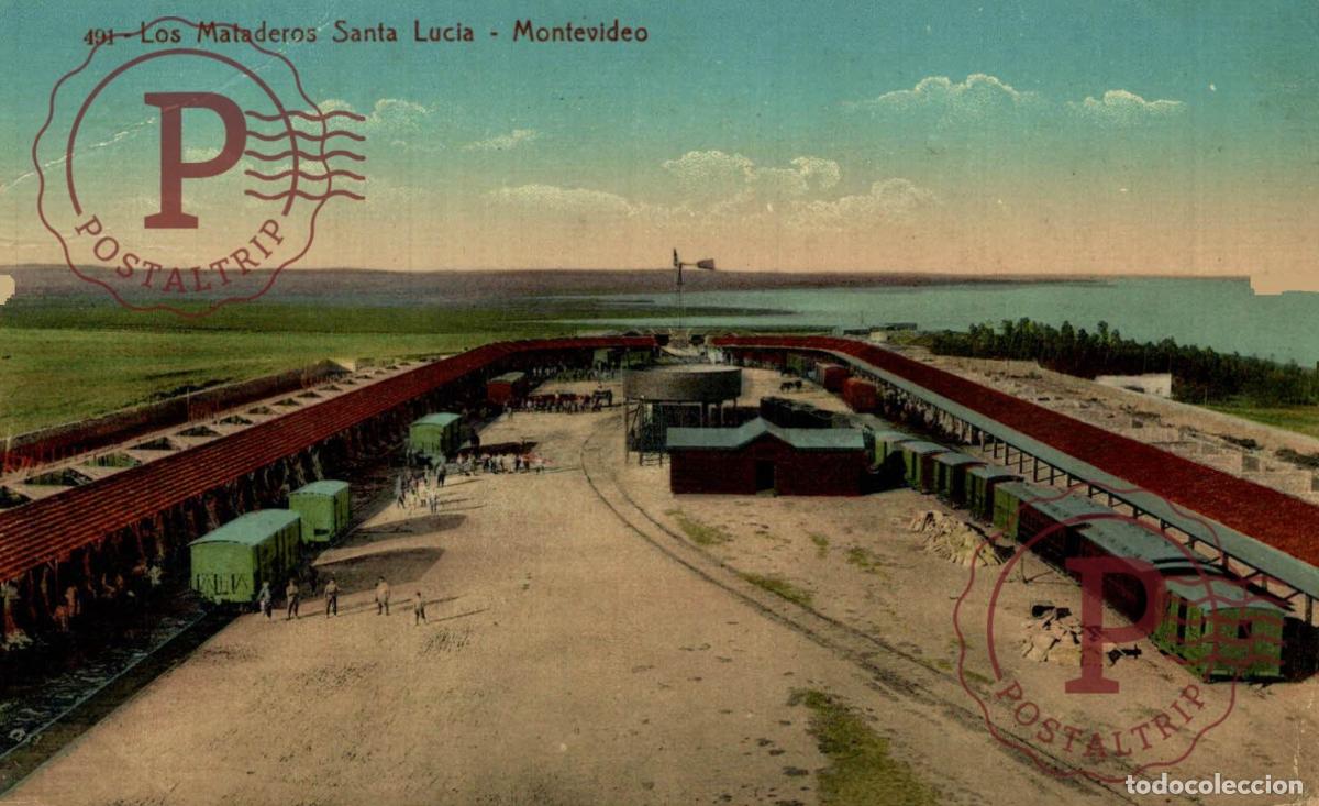 Postales: URUGUAY. MONTEVIDEO. LOS MATADEROS SANTA LUCIA