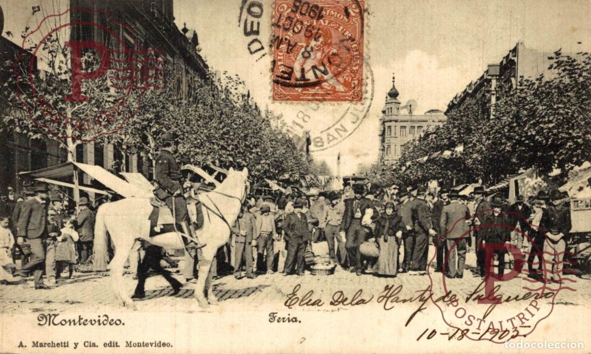 Postales: URUGUAY. Montevideo Policia a caballo en la Feria 1905