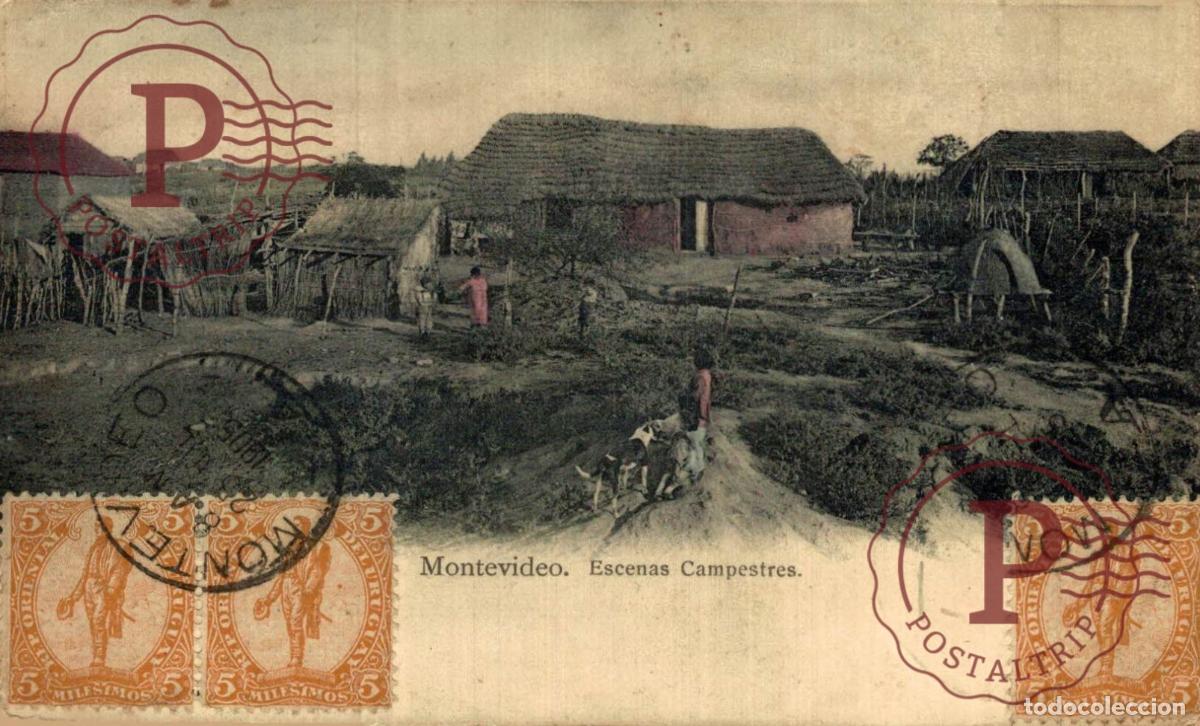 Postales: URUGUAY. ESCENAS CAMPESTRES.