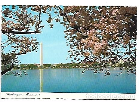 Postales: WASHINGTON MONUMENT.- USA