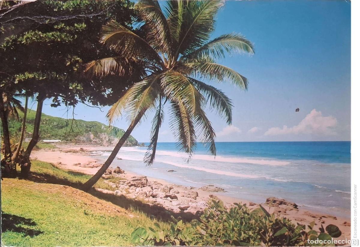 Postales: Puerto Rico. 16 La playa de Guajataca, rodeada por palmeras y por el O. Atl&aacute;ntico. Nueva. Color. Tam