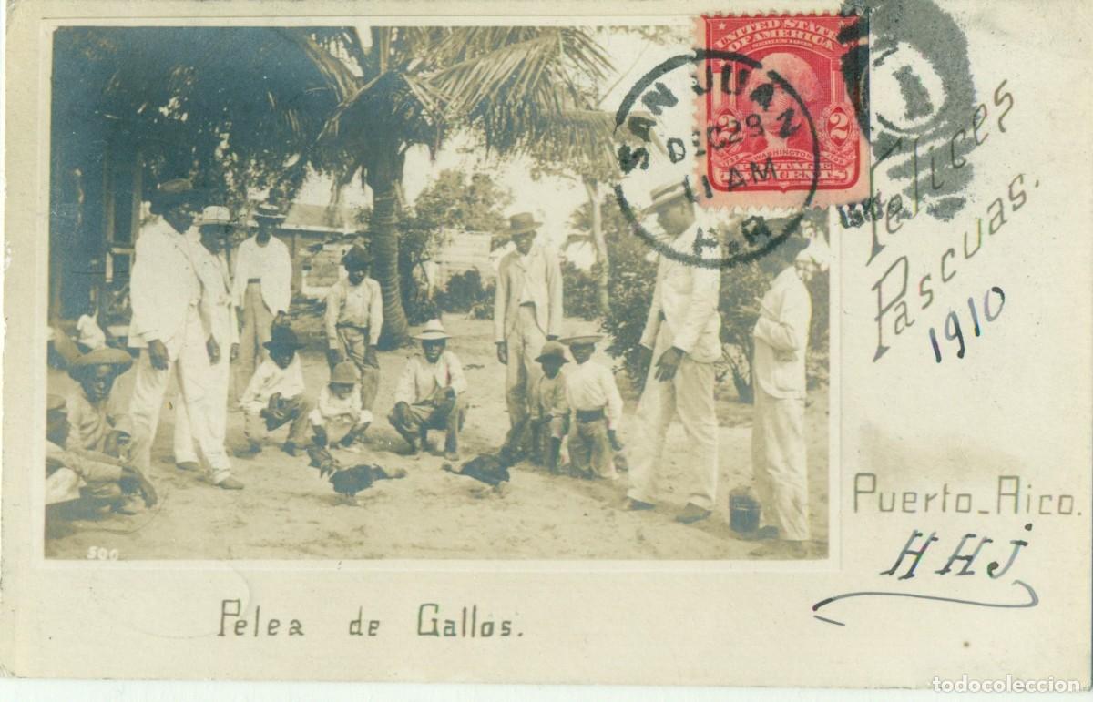 Postales: PUERTO RICO. PELEA DE GALLOS. CIRCULADA EN 1910. FOTOGR&Aacute;FICA. MUY RARA.