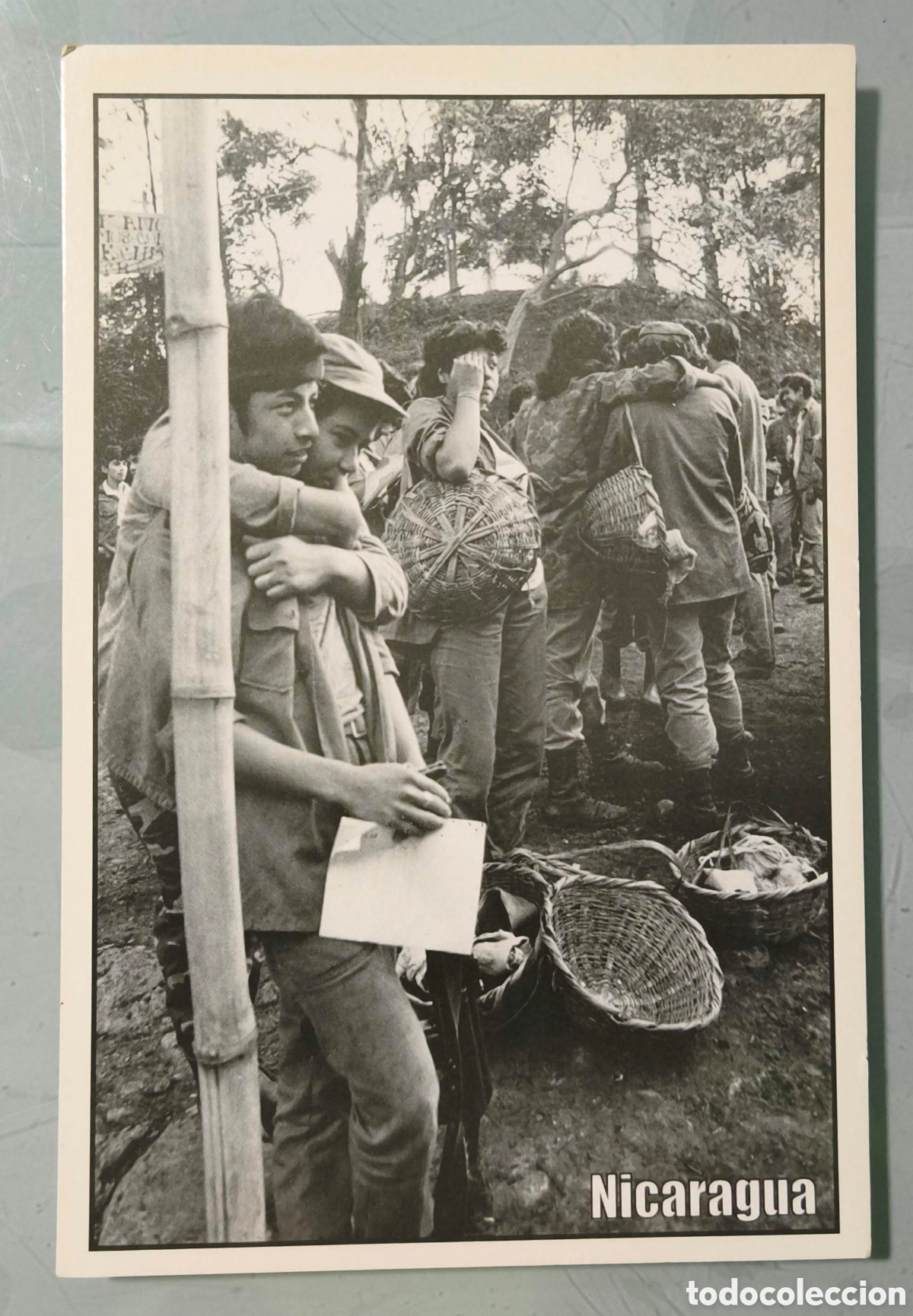 Postales: Nicaragua. Matagalpa 1985. Cortes de caf&eacute;