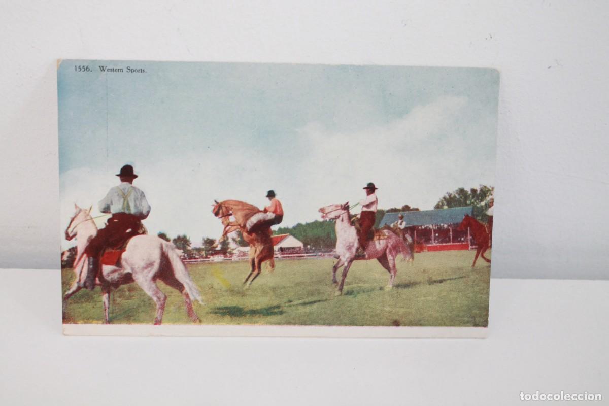 Postales: POSTAL ANTIGUA AMERICANA CIRCA 1907-1915 WESTERN SPORTS NO CIRCULADA