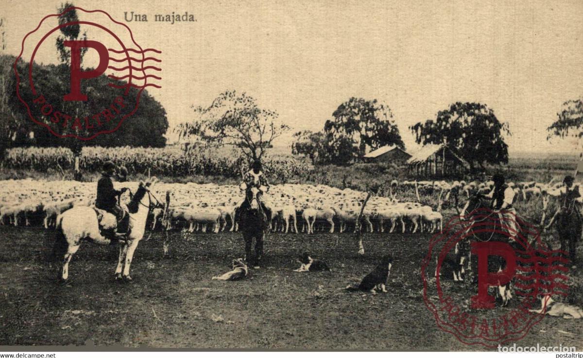 Postales: UNA MAJADA REPUBLICA ARGENTINA AMERIQUE DU SUD South America Sudamerica