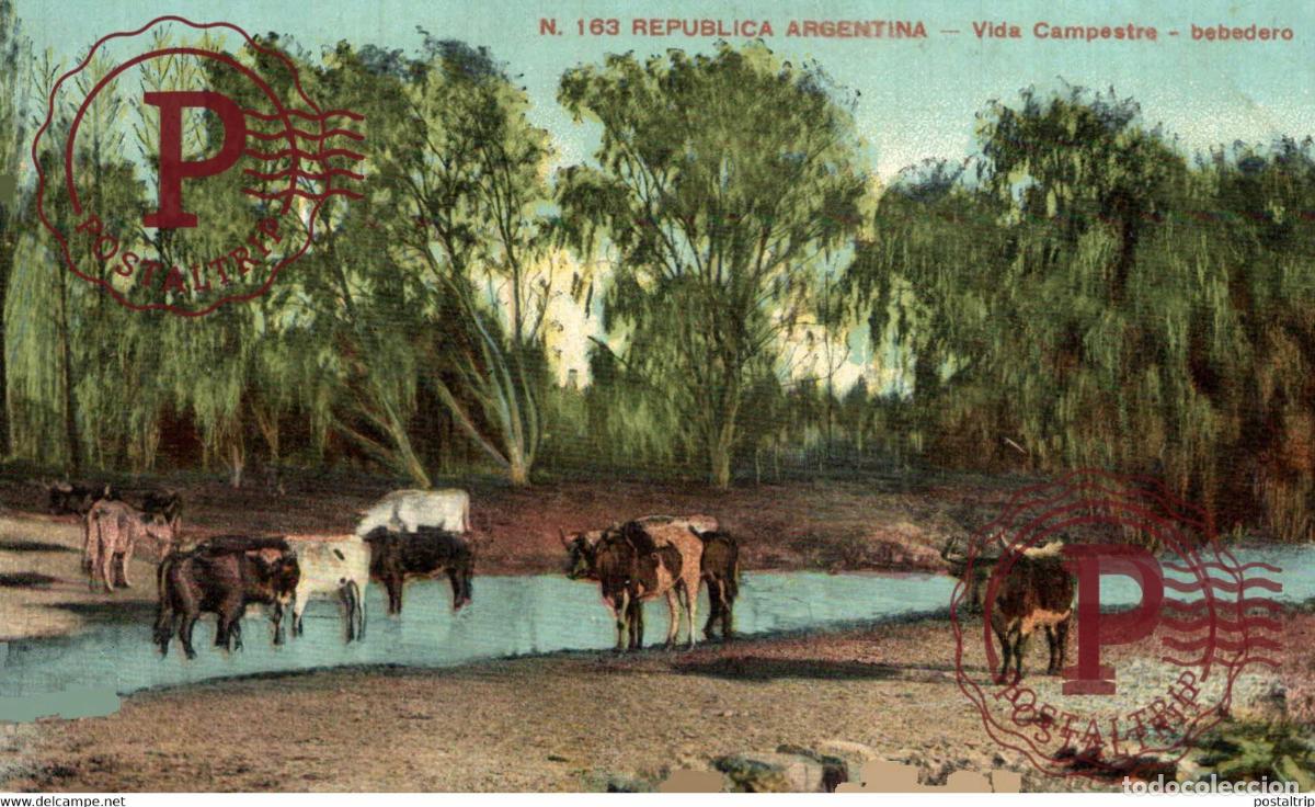 Postkarten: VIDA CAMPESTRE, BEBEDERO. VACAS, GANADO REPUBLICA ARGENTINA AMERIQUE DU SUD