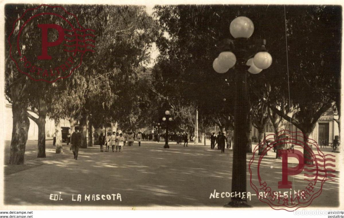 Postkarten: ARGENTINA. NECOCHEA. AV ALSINA. ED. LA MASCOTA