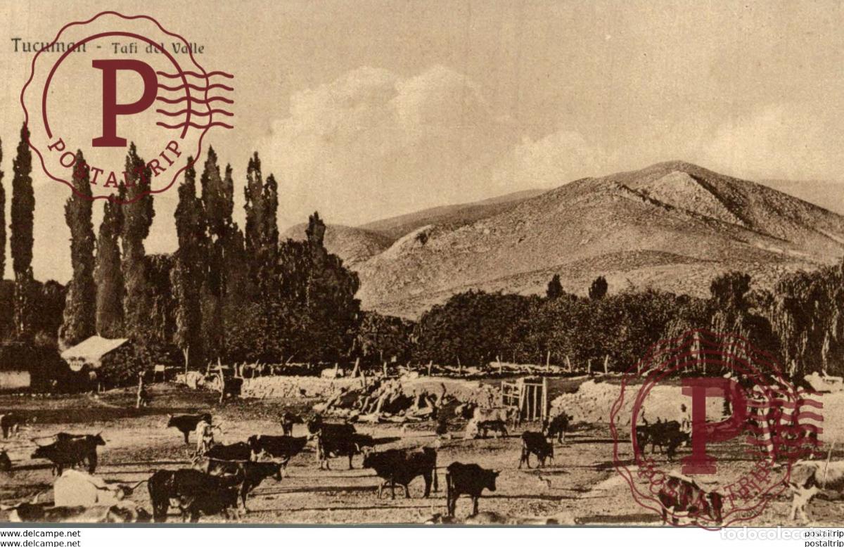 Postales: TUCUMAN TAFI DEL VALLE REPUBLICA ARGENTINA
