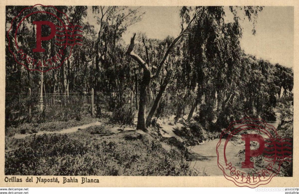 Postales: ORILLAS DEL NAPOSTA BAHIA BLANCA