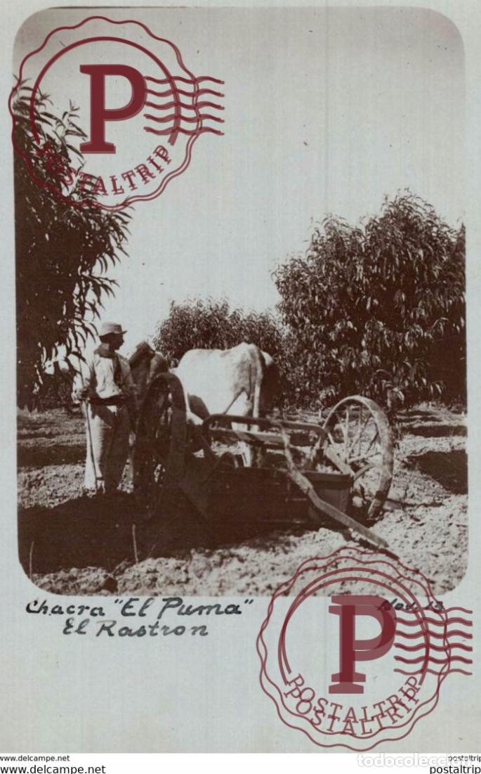 Postales: RPPC FOTOPOSTAL CHACRA EL PUMA EL RASTRON 1913 ARGENTINE REPUBLICA ARGENTINA