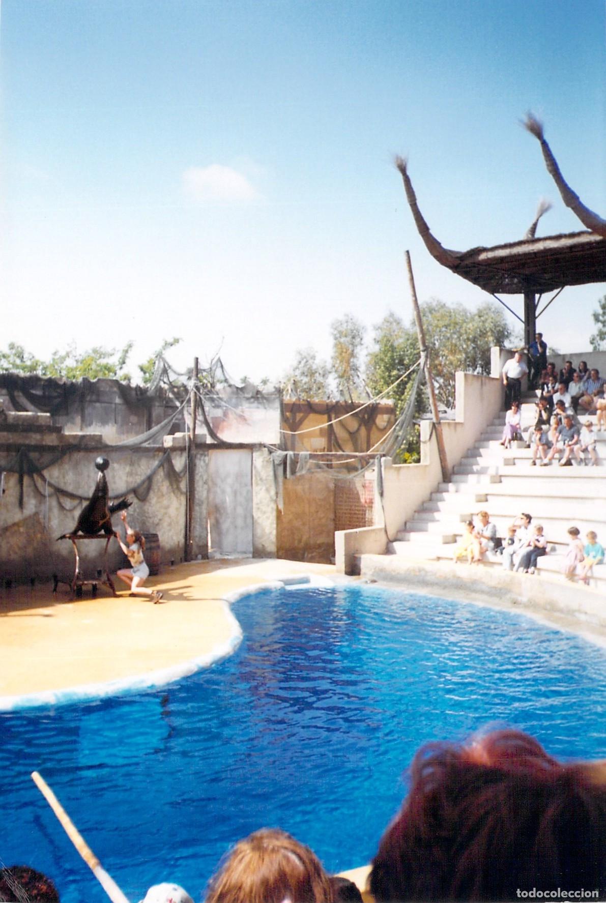 Postales: Postal de espect&aacute;culo de leones marinos en zool&oacute;gico de San Diego