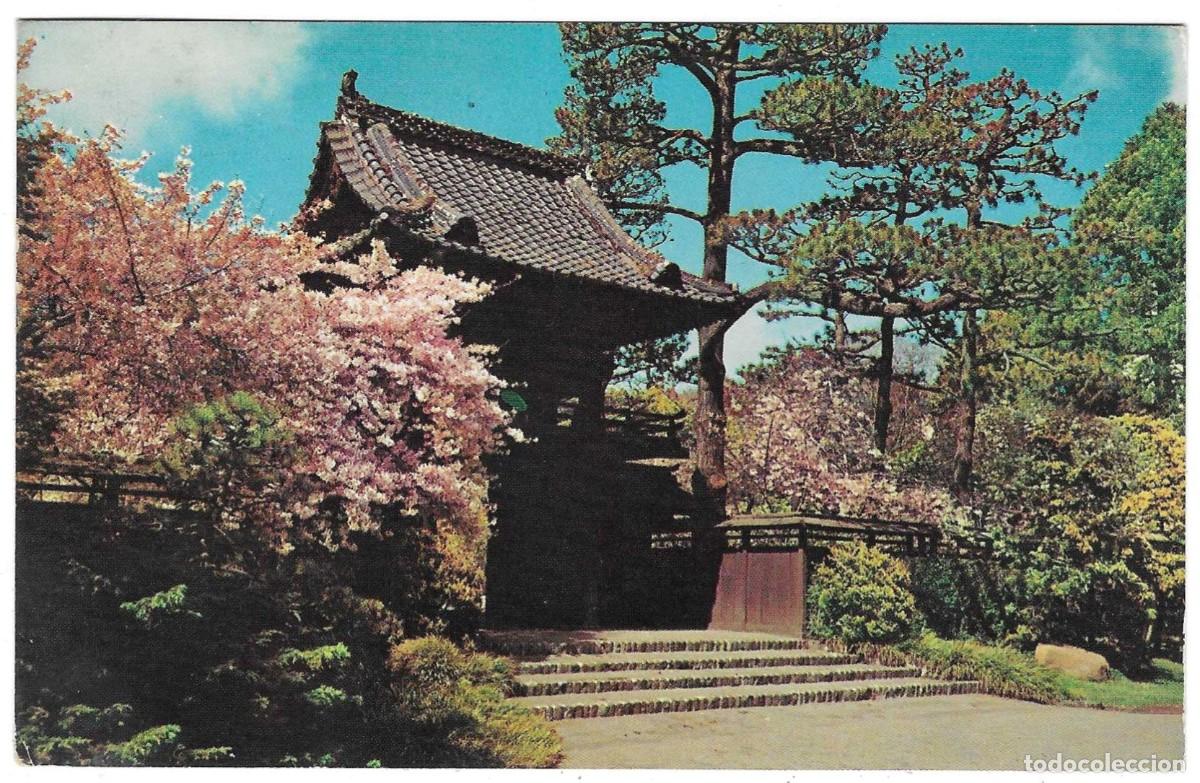 Postales: Postal EE.UU. Oriental Tea Garden. San Francisco. California. ref. 7-eeuu57