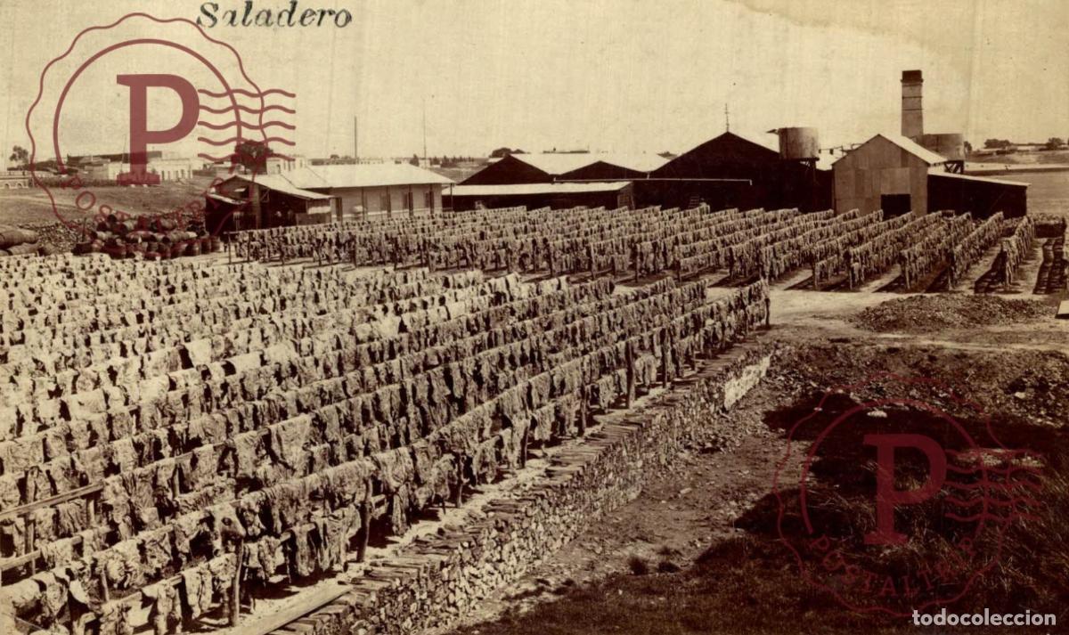 Postales: URUGUAY. 1917 RPPC Saladero Industria Carne Tasajo Secado Charqui Meat Drying Montevideo FOTOGRAFICA