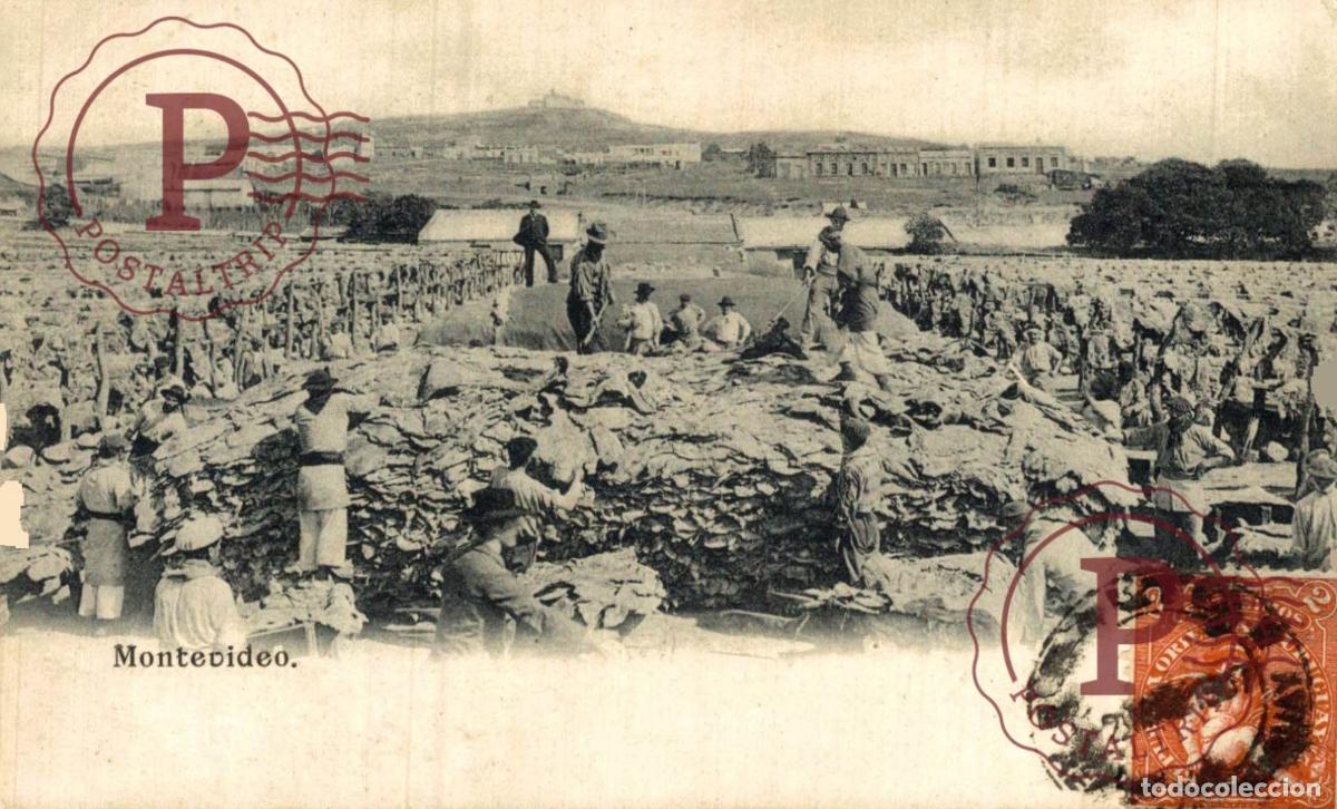 Postales: URUGUAY. 1907 Saladero de Tasajo y Cueros - Cerro de Montevideo