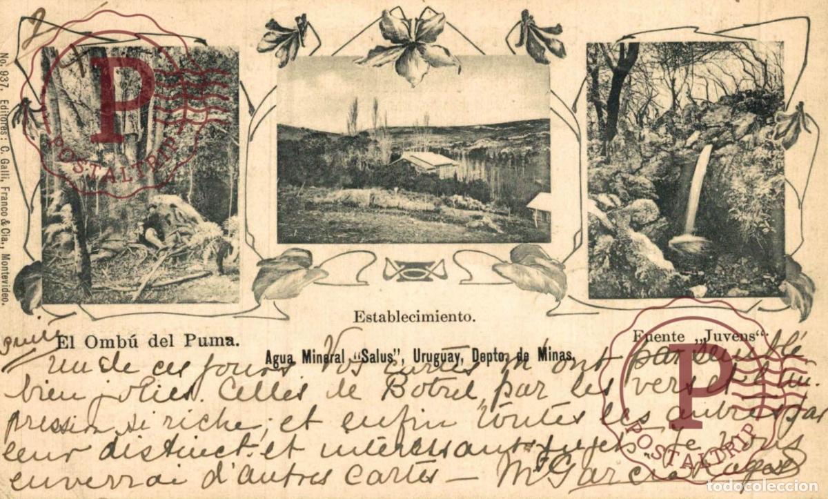 Postales: URUGUAY. 1903 Agua Mineral Salus Minas Omb&uacute; del Puma Fuente Juvens Ed Galli Franco