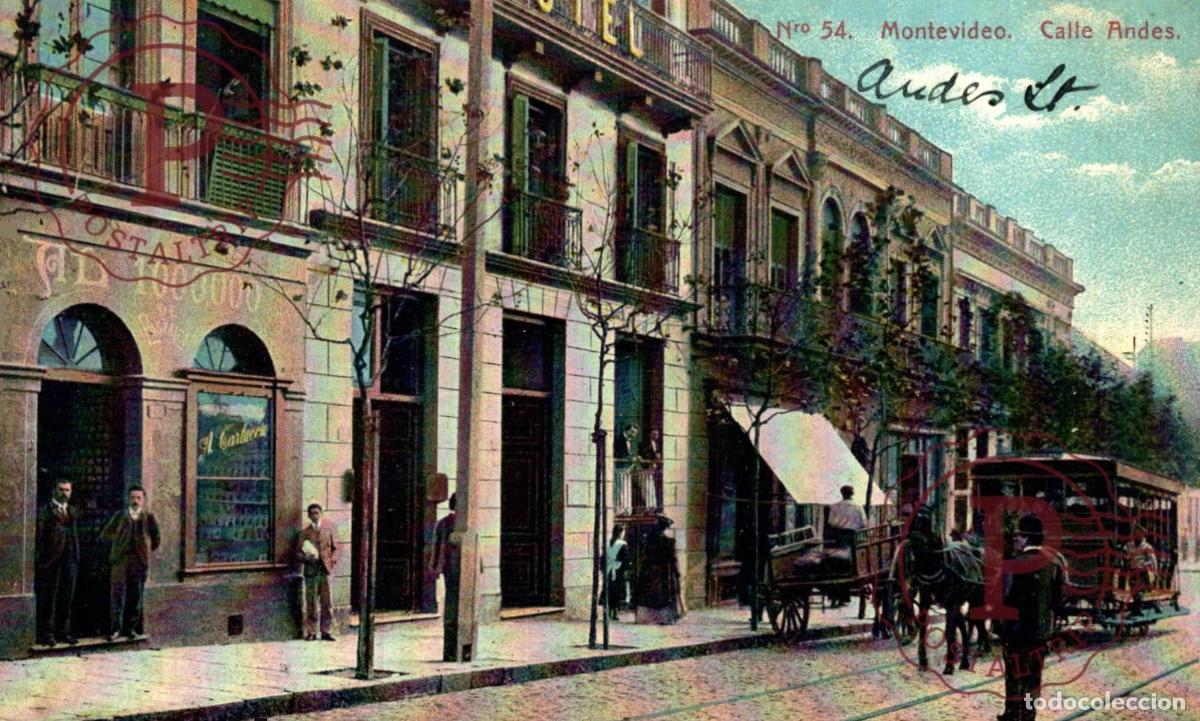 Postales: URUGUAY MONTEVIDEO CALLE ANDES. TRANVIA A CABALLO COMERCIOS. ED CARLUCCIO