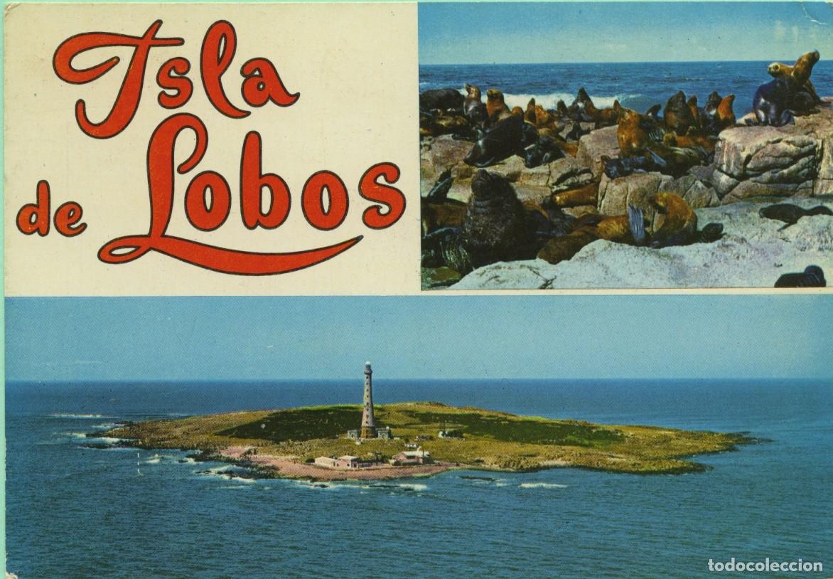 Postales: N&ordm; 826-PUNTA DEL ESTE. Uruguay. Faro e isla de Lobos sobre el oc&eacute;ano Atl&aacute;ntico. Sin circular. EDICIO