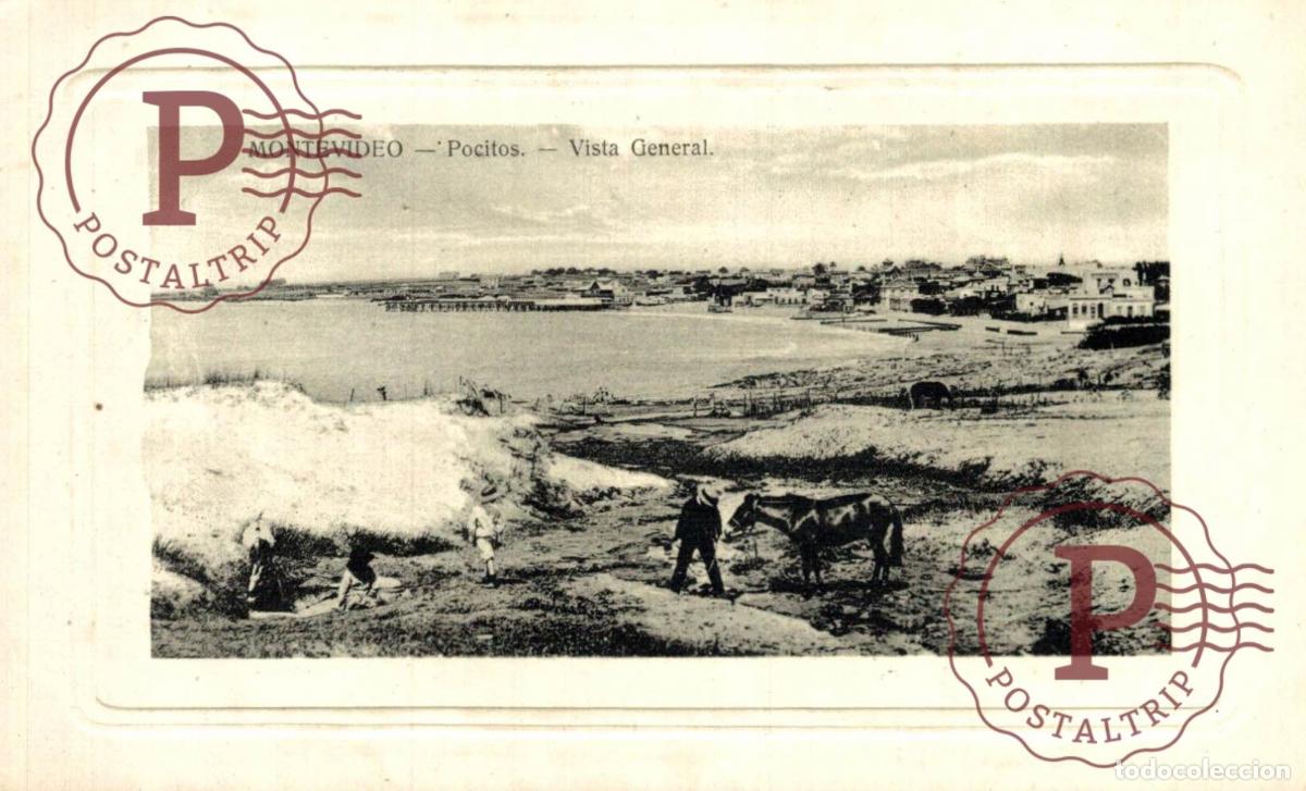 Postales: URUGUAY MONTEVIDEO POCITOS VISTA GENERAL PLAYA Y CABALLO