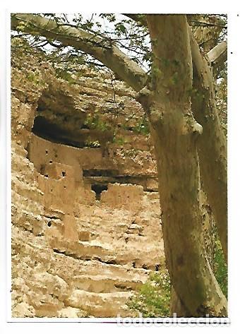 Postales: MONTEZUMA CASTLE.- ARIZONA / USA