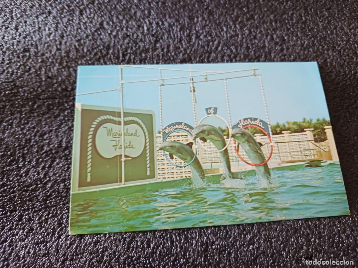 Postales: delfines en marineland, florida, radio aficionado, the corsairs of spain