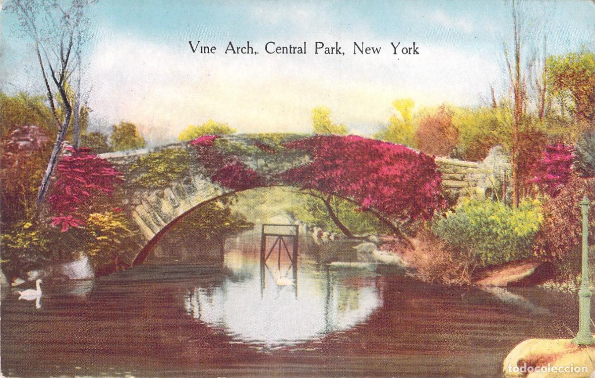 Postales: Postal de Vine Arch en Central Park, Nueva York