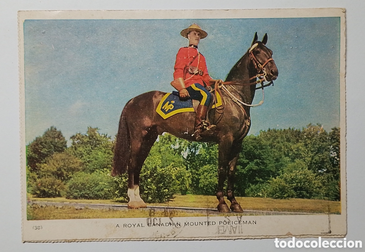 Postales: Postal polic&iacute;a montada de Canad&aacute;