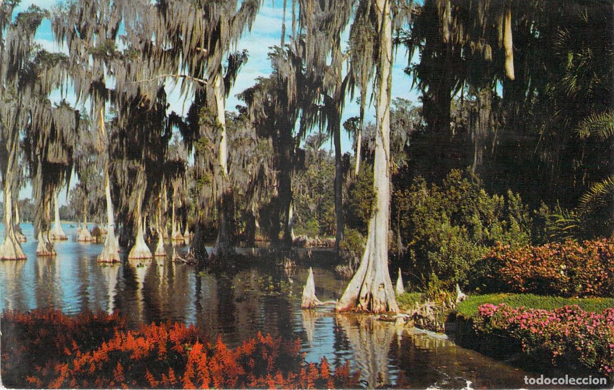 Postcards: Postal de Cypress Gardens Florida Paisaje Natural