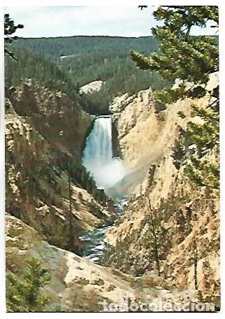 Postkarten: SHOWING THE LOWER FALLS FROM MORAN POINT, GRAND CANYON OF YELLOWSTONE, NATIONAL PARK.- USA