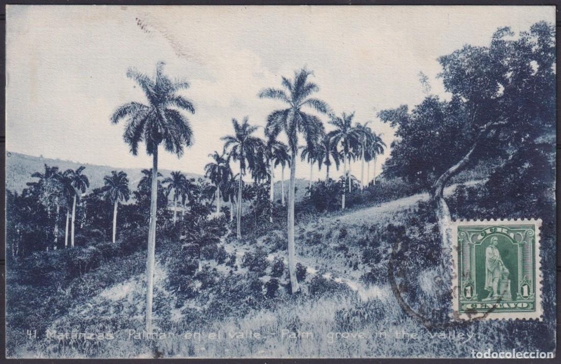 Cartoline: POS-1903 CUBA POSTCARD 1909 PALM VALLEY OF MATANZAS TO FRANCE.