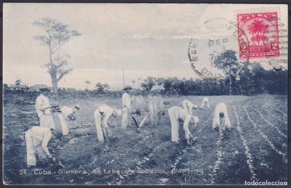 Cartoline: POS-1908 CUBA POSTCARD 1909 LANDSCAPE TOBACCO PLANTING SEMBRANDO TABACO TO FRANCE.