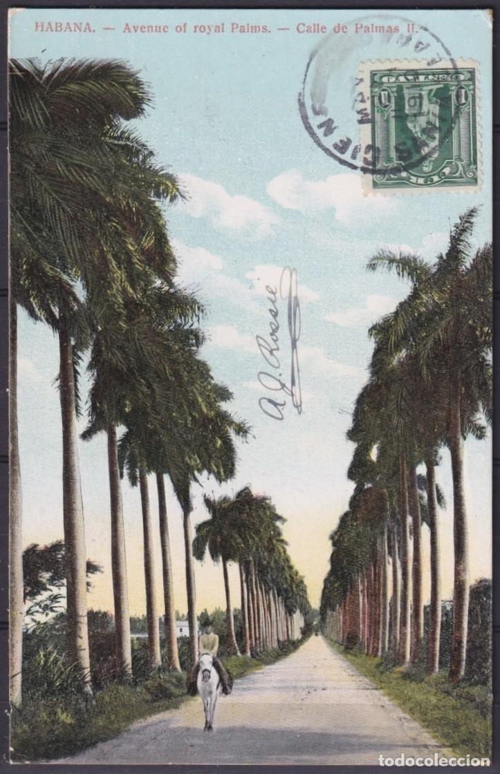 Cartoline: POS-1914 CUBA POSTCARD 1910 HAVANA ROYAL PALM AVENUE CIENFUEGOS TO FRANCE.