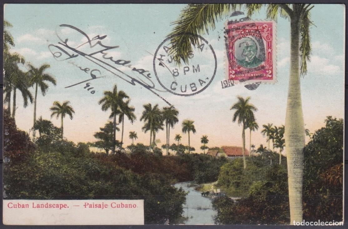 Cartoline: POS-1881 CUBA POSTCARD 1910 CUBAN LANDSCAPE ROYAL PALM TO BELGIUM.