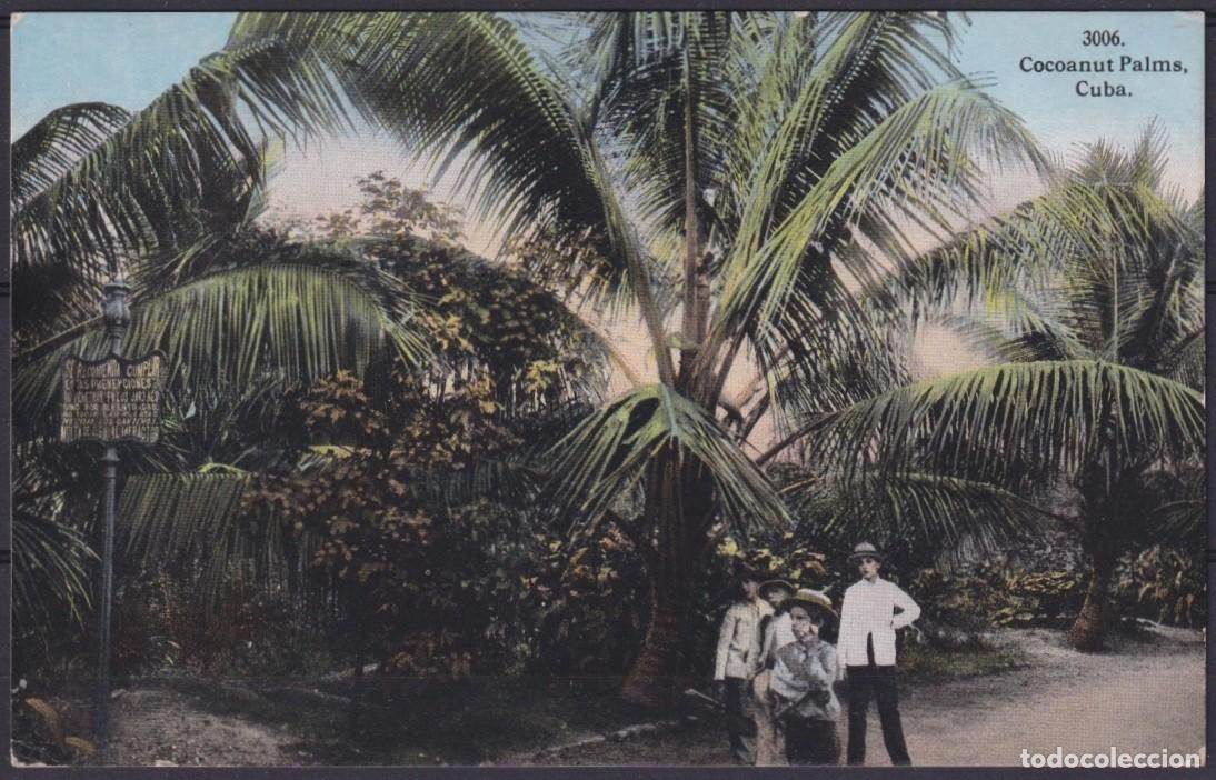 Cartoline: POS-1897 CUBA POSTCARD 1916 1c MAPITAS COCONUT PALM MARIANO TO USA US.