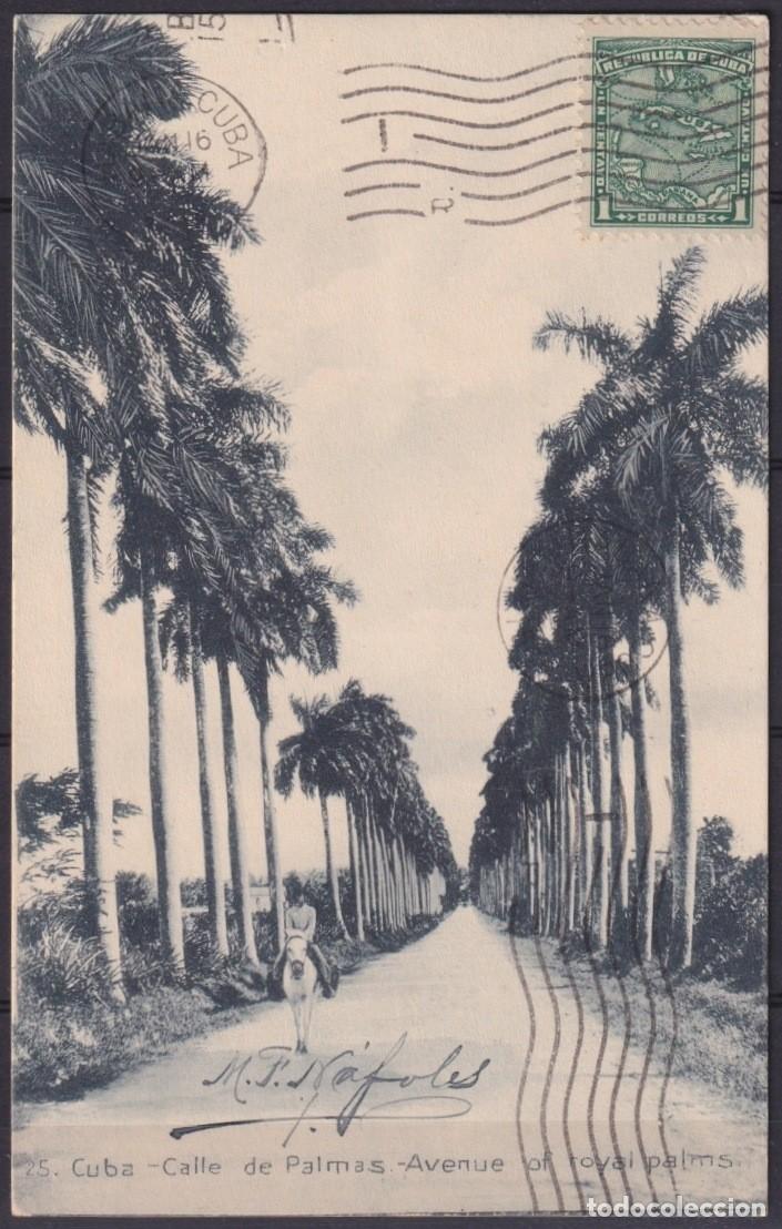 Postales: POS-1925 CUBA POSTCARD 1917 1c MAPITAS PALM AVENUE LANDSCAPE TO ARGENTINA.