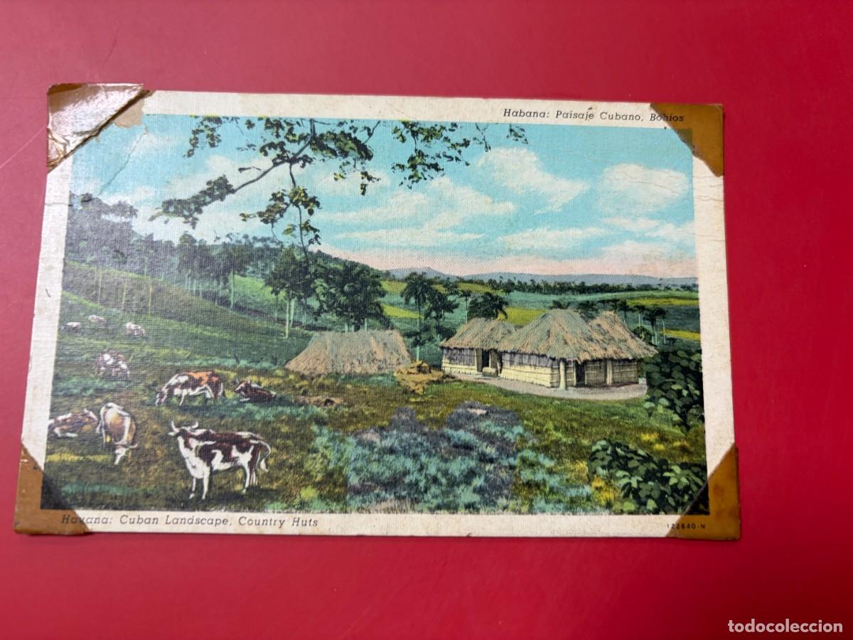 Postales: TARJETA POSTAL - CUBA LANDSCAPE - PAISAJE CUBANO - HABANA - CUBA