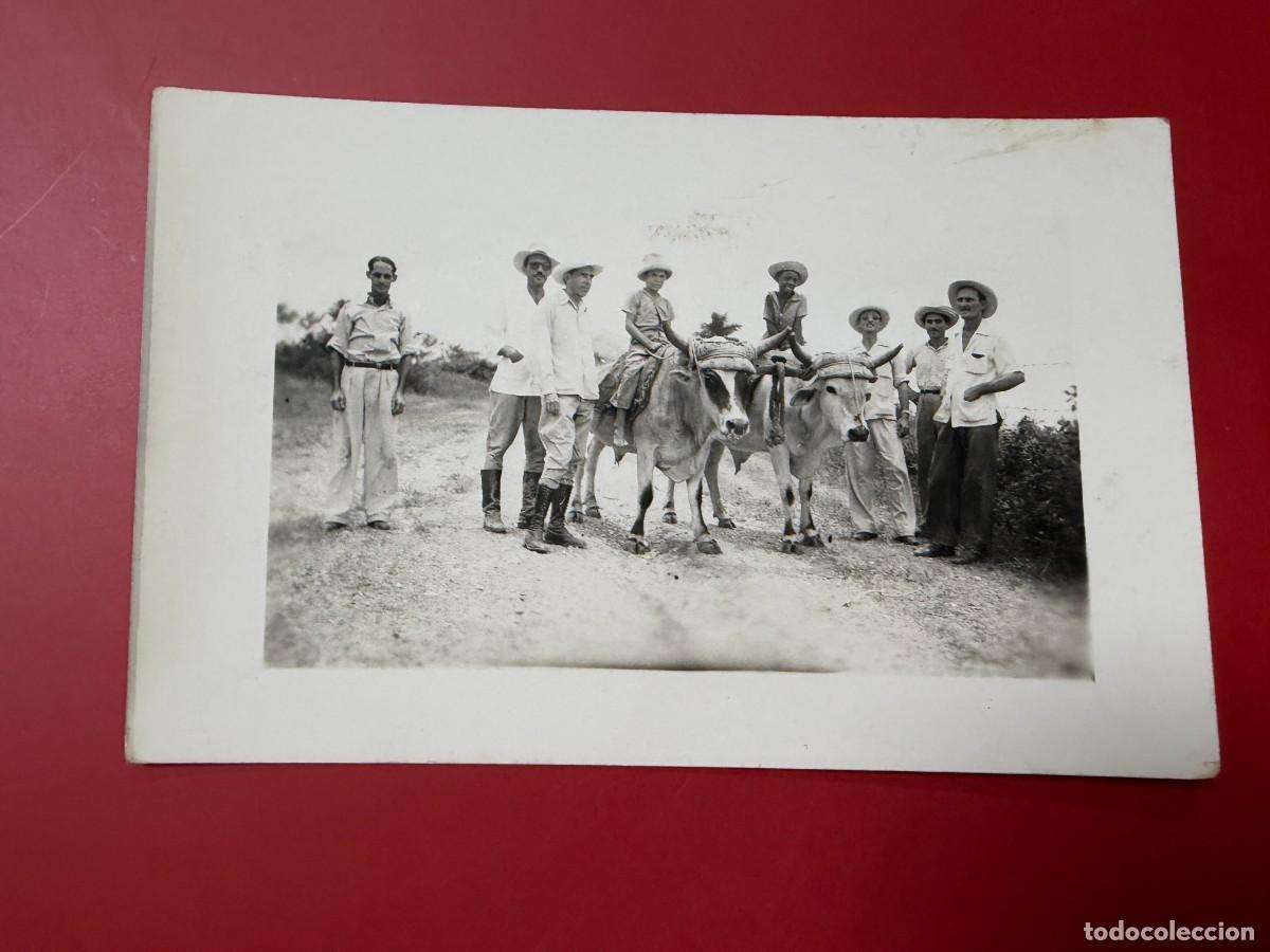 Postales: POSTAL FOTOGR&Aacute;FICA - ESCENA RURAL - GUAJIROS CAMPESINOS CON YUNTA DE BUEYES Y NI&Ntilde;OS - CUBA