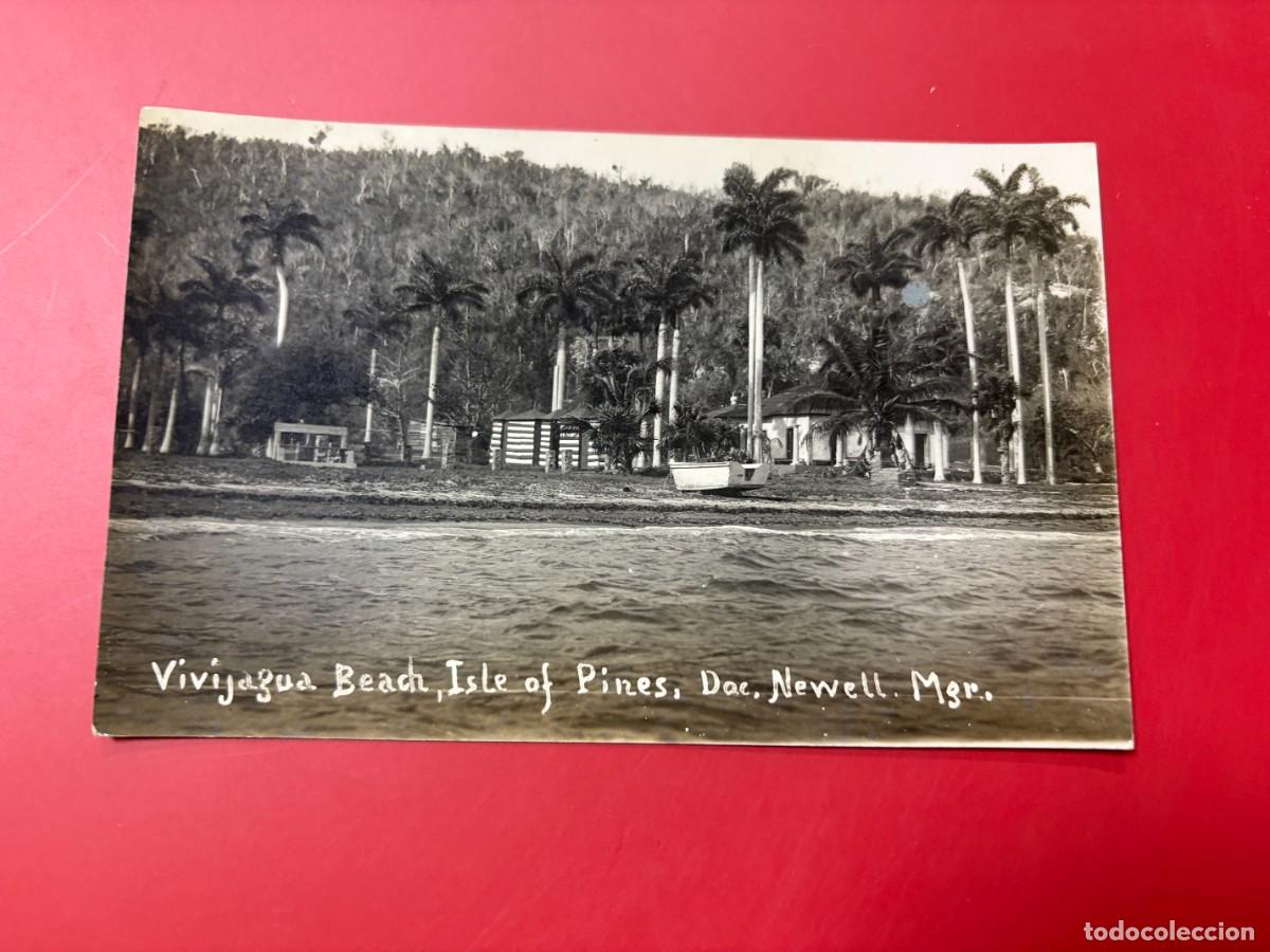 Postales: TARJETA POSTAL - CUBA - ISLA DE PINOS - PLAYA VIV&Iacute;GUA - DOC NEWELL - PALMERAS