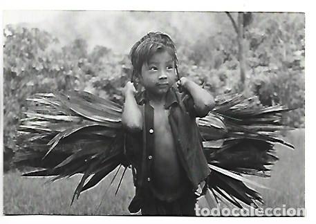 Postales: NI&Ntilde;O SELVATICO.- GALLO GIRO, CHIAPAS / MEXICO