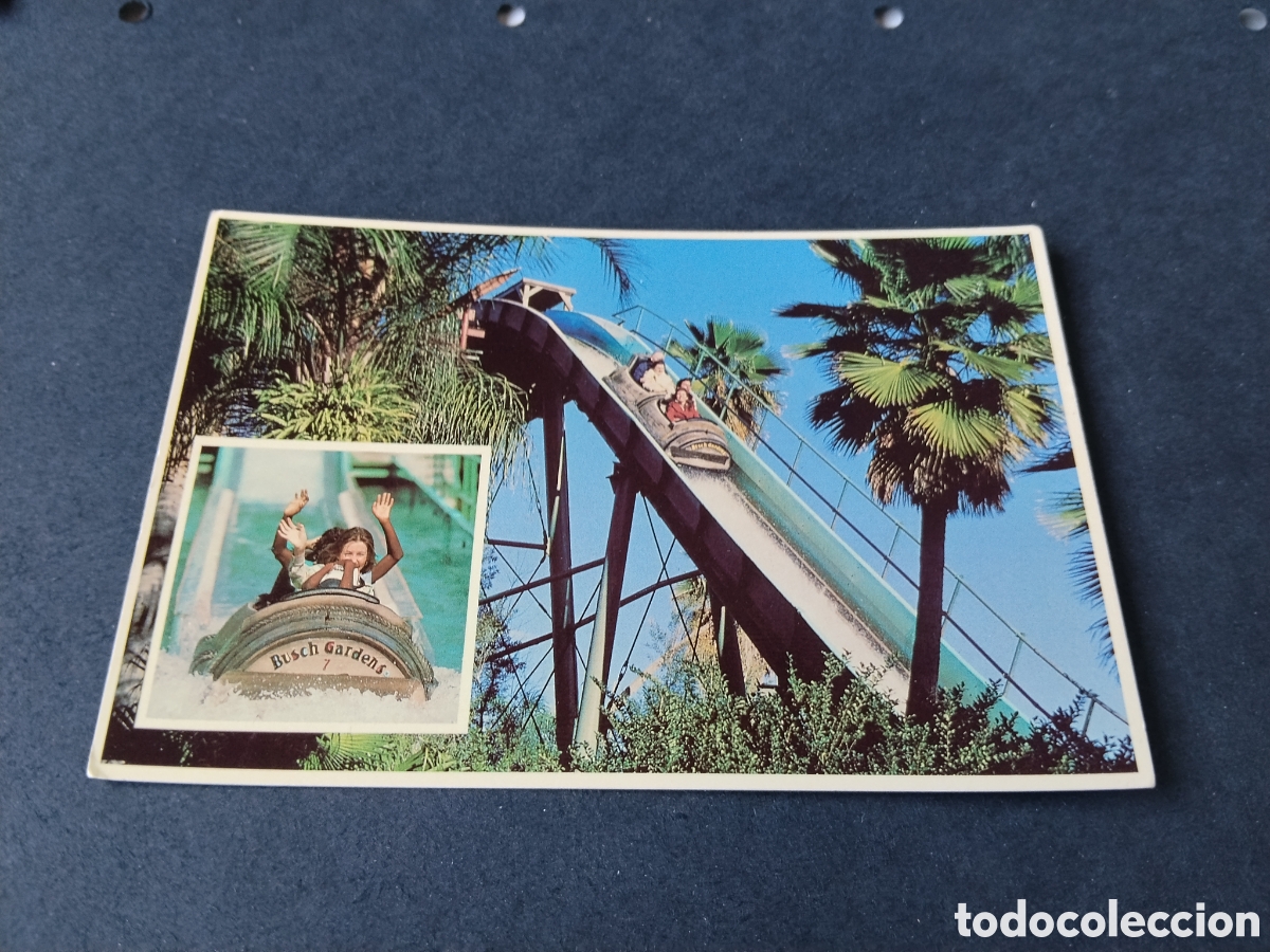 Postales: Postal busch gardens Tampa Florida parque