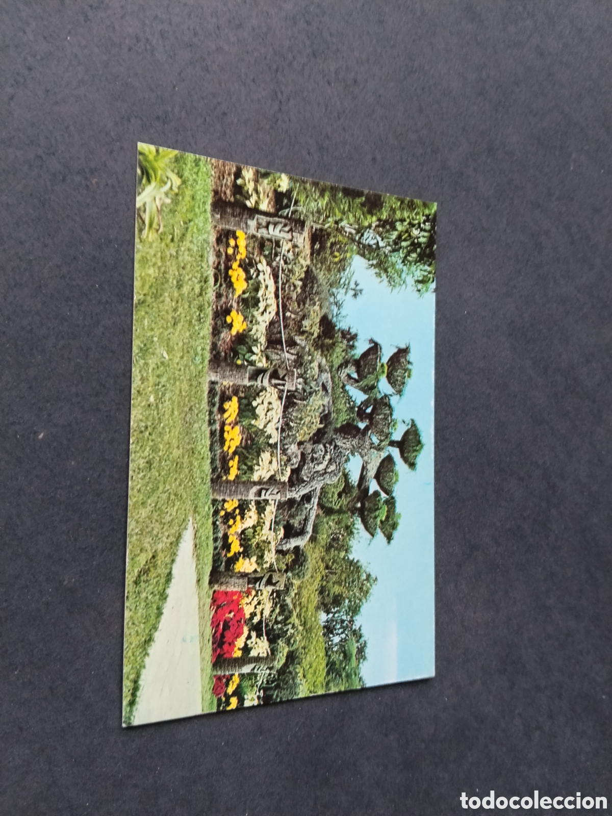Postales: Postal cypress gardens